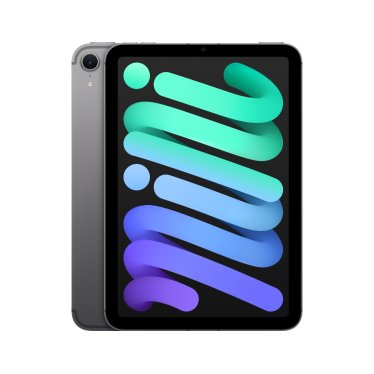 Apple iPad mini - Wi-Fi + Cellular - 512GB - Space Gray (2024)
